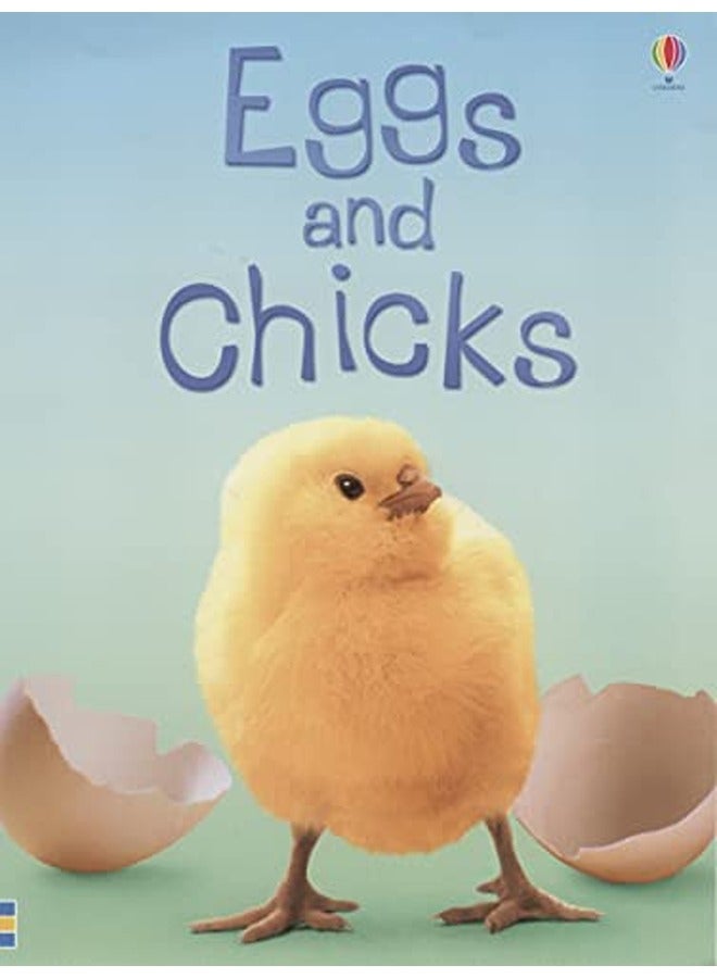 البيض والكتاكيت (مبتدئين أوسبورن)