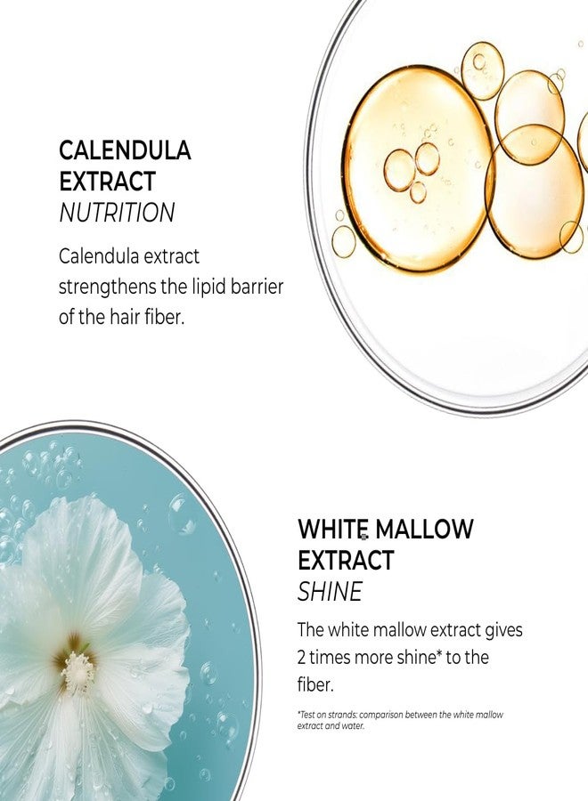 PHYTO PLAGE Rehydrating After-Sun Shampoo, Sulfate-Free, Silicone-Free, Removes Salt, Chlorine & Sand, Restores Softness & Shine, 8.45 fl oz - Image 2