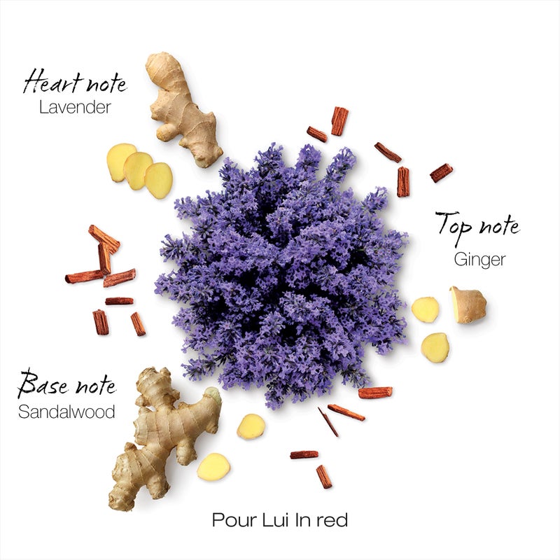 Mauboussin - Pour Lui In Red 100ml (3.3 Fl Oz) - Eau de Parfum for Men - Woody & Spicy Scents - Image 4