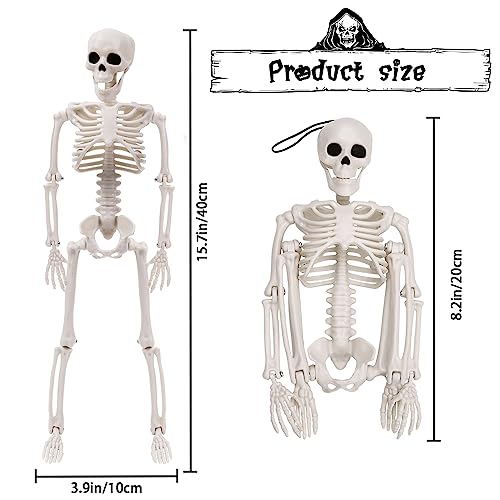 XIMISHOP 5pcs Halloween Skeleton Decoration, 16" Full Body Posable Hanging Skeleton with Movable Joints for Graveyard Haunted House Indoor Outdoor, White - Image 2