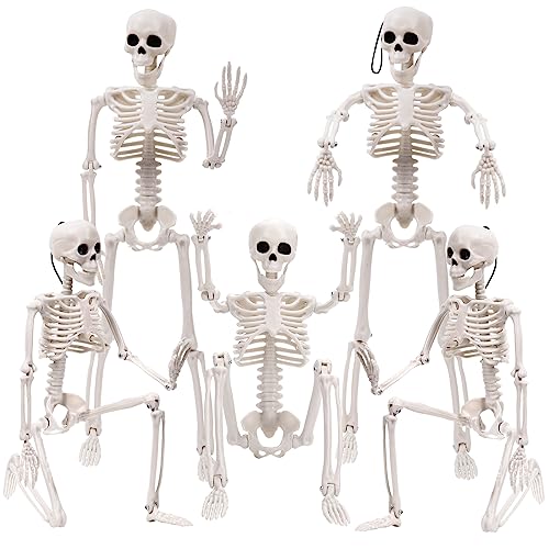 XIMISHOP 5pcs Halloween Skeleton Decoration, 16" Full Body Posable Hanging Skeleton with Movable Joints for Graveyard Haunted House Indoor Outdoor, White - Image 1