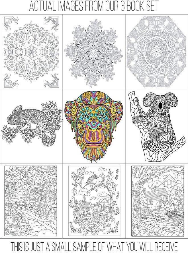 Creatively Calm Studios مجموعة من 3 كتب تلوين للكبار، بتصاميم حيوانات ومناظر طبيعية ورسومات ماندالا - 120 صورة فريدة! صفحات بمقاس 8.5 بوصة × 8.5 بوصة - Image 4