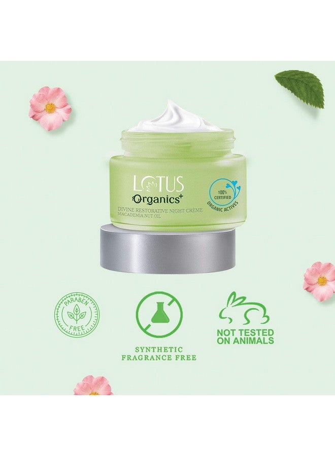 Lotus Organics+ Divine Restorative Night Cream | Macadamia Nut Oil | Barrier Repairing Moisturiser | 100% Organic | 50G  - Image 4