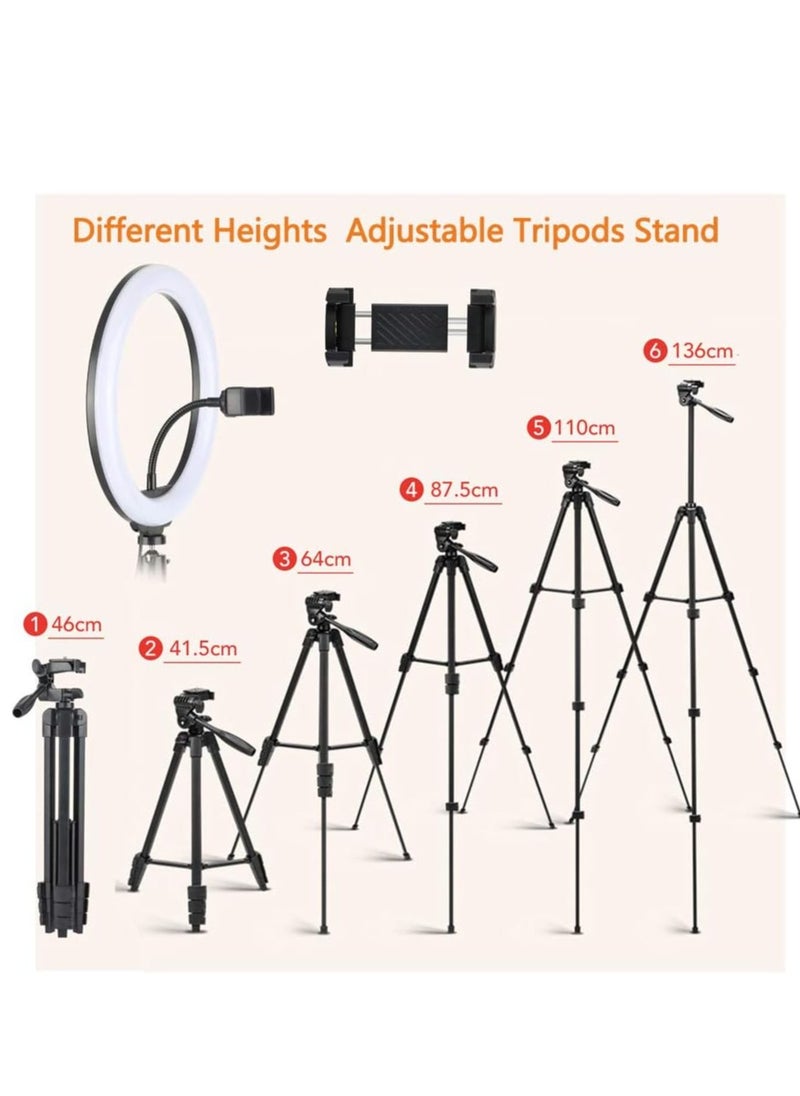 East Lady - 3000.0 mAh 10 Inch Ring Light Tripod Mount  woth remote control Live Broadcast Dual Phone Bracket Multicolour - Image 1