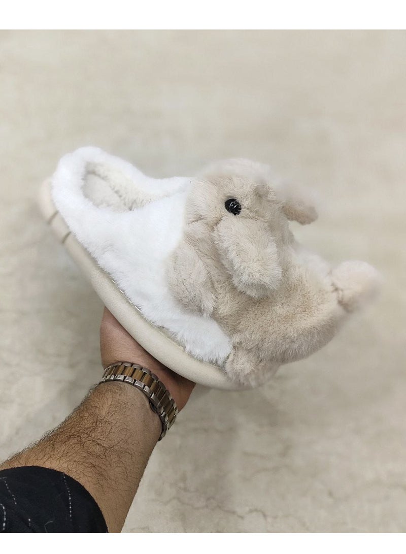 Footwear Flat Slipper