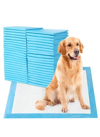Pet Diaper Training Pad,Disposable Puppy Pads,For Dogs and Puppies Super Absorbent & Leak-Proof & Quick Dry Pet Urine Pad, For Puppies Cats Rabbits Pet Pee - pzsku/Z7C6EEB7E8AF2B4CB57B5Z/45/_/1728402716/eddadea2-3208-40ca-8687-2ae05e610951