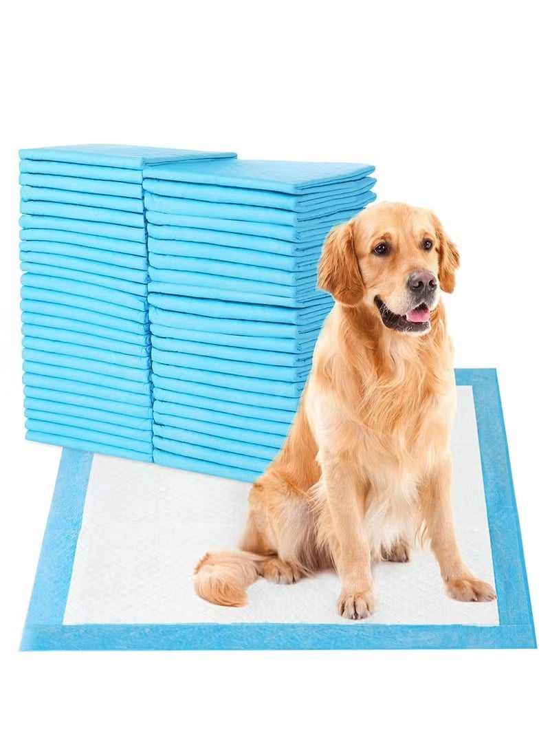 Pet Diaper Training Pad,Disposable Puppy Pads,For Dogs and Puppies Super Absorbent & Leak-Proof & Quick Dry Pet Urine Pad, For Puppies Cats Rabbits Pet Pee