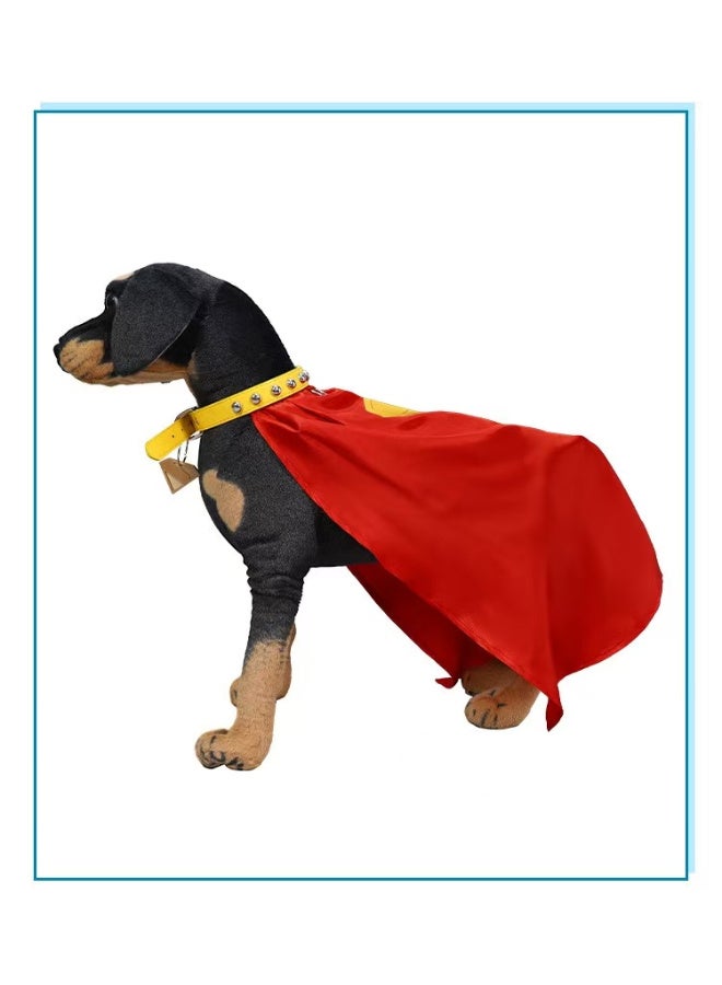 Superman Pet Cape | Cat & Dog Cape with Collar | Halloween Costume | Small Dog & Cat Festive Clothing | 20x28x2 cm | Cute Pet Attention-Grabber - Image 4