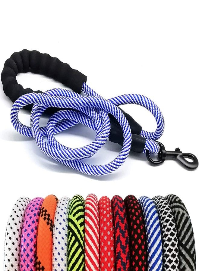 MayPaw 6FT Heavy Duty Rope Dog Leash, Nylon Pet Leash with Soft Padded Handle Thick Lead Leashes for Large Medium Dogs Walking (Blue, 1/2" * 6') - Image 1