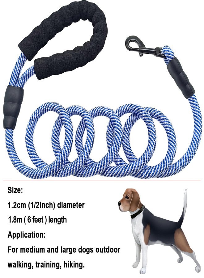 MayPaw 6FT Heavy Duty Rope Dog Leash, Nylon Pet Leash with Soft Padded Handle Thick Lead Leashes for Large Medium Dogs Walking (Blue, 1/2" * 6') - Image 4