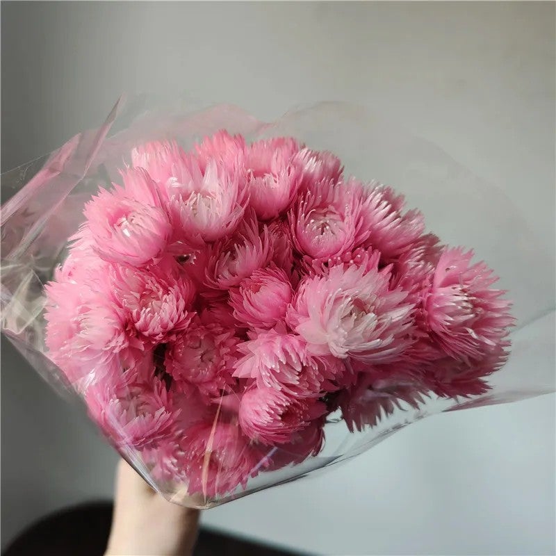 Bluejw Syncarpha Vestita Dried Flowers - Natural Everlasting Real Dried Plants for Long Lasting Dry Flower Bouquet - Image 1
