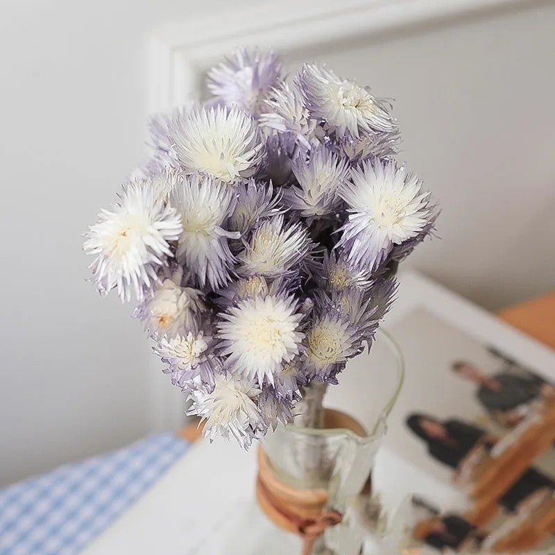 Bluejw Syncarpha Vestita Dried Flowers - Natural Everlasting Real Dried Plants for Long Lasting Dry Flower Bouquet - Image 4