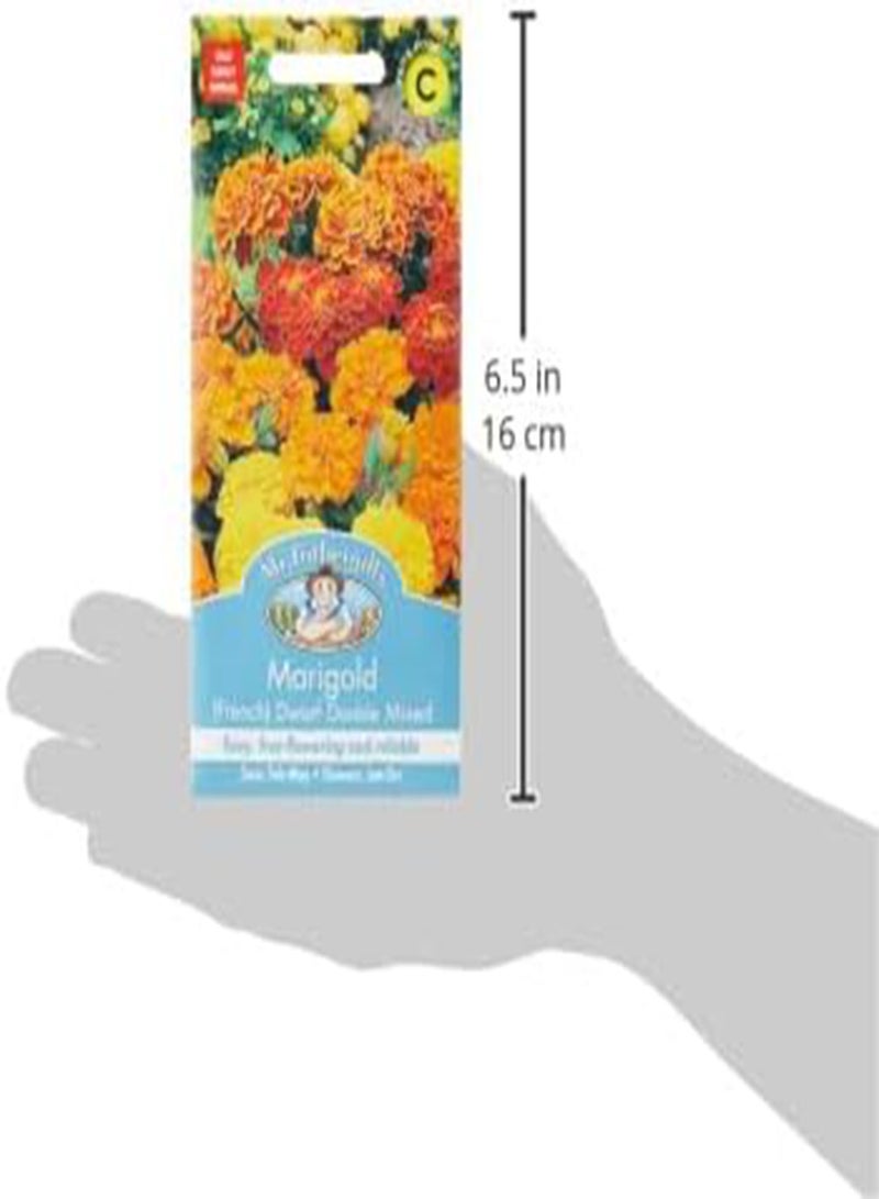 GGOOT 20162 Flower Seeds, Marigold (French) Dwarf Double Mixed - Image 4