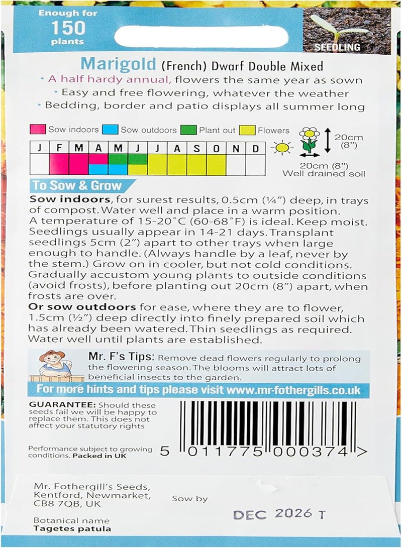 GGOOT 20162 Flower Seeds, Marigold (French) Dwarf Double Mixed - Image 2