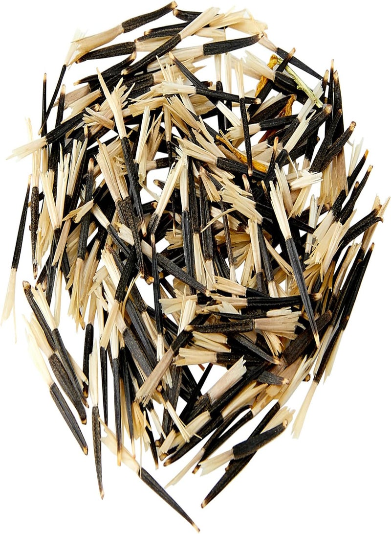 GGOOT 20162 Flower Seeds, Marigold (French) Dwarf Double Mixed - Image 3