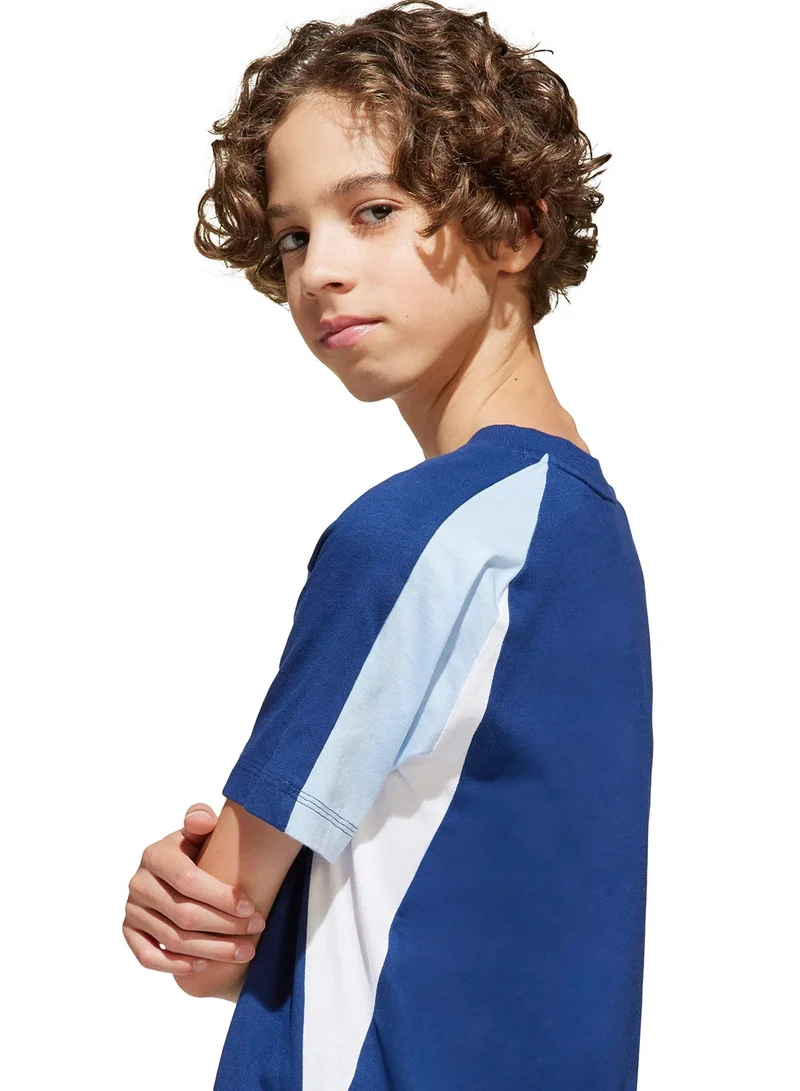 Adidas Youth Seasonal Essential Colorblock T-Shirt