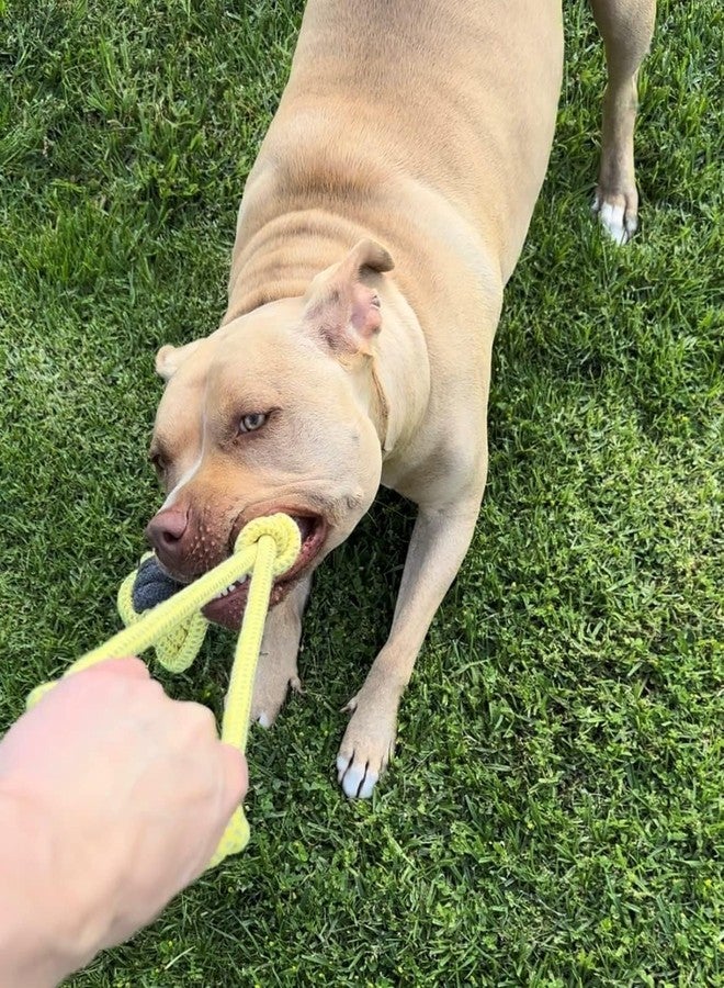 PETZLUV Dog Rope Chew Toy Set 5 Knot Heavy Duty Dog Toy for Aggressive Chewer Dogs Interactive Pet Toy with Handle for Medium Breeds - Pack of 2 (Color May Vary) - Image 2