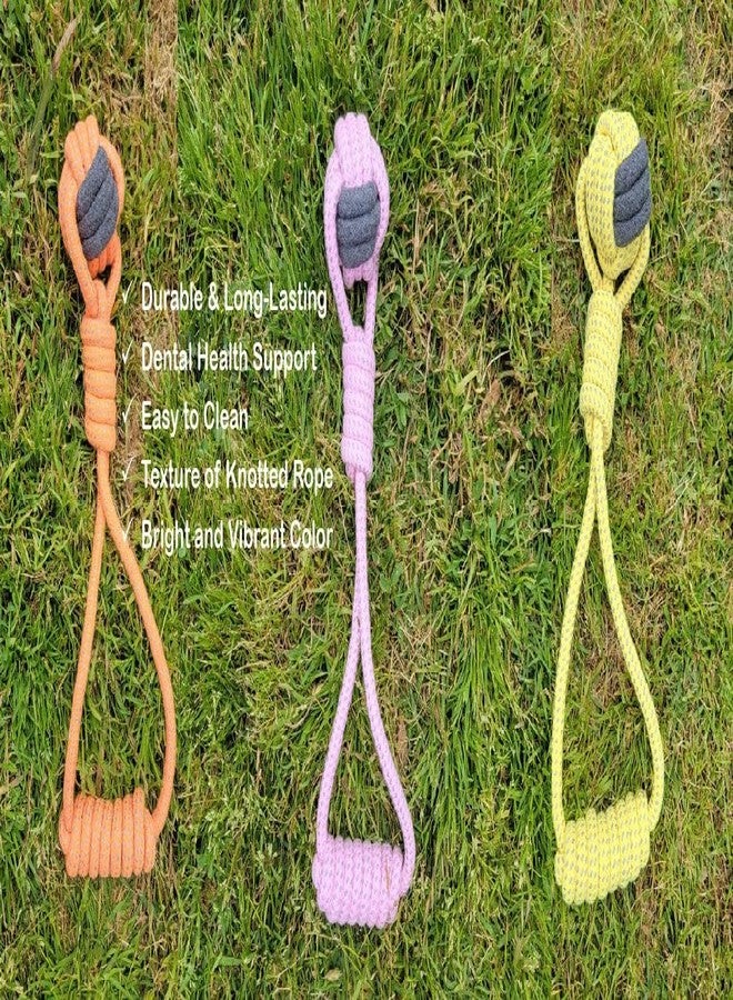 PETZLUV Dog Rope Chew Toy Set 5 Knot Heavy Duty Dog Toy for Aggressive Chewer Dogs Interactive Pet Toy with Handle for Medium Breeds - Pack of 2 (Color May Vary) - Image 3