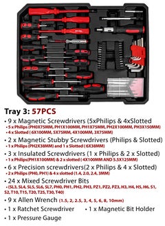 DBLEW 187 Pieces Hand Tool Set with Trolley Bag Professional Automobile Tools for Repairs and Workshops Handymen Mechanics Construction Workers and Home Use Socket Spanner Ratchet Torque Wrench Tools Kit  - Image 4