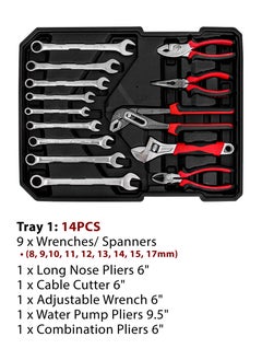 DBLEW 187 Pieces Hand Tool Set with Trolley Bag Professional Automobile Tools for Repairs and Workshops Handymen Mechanics Construction Workers and Home Use Socket Spanner Ratchet Torque Wrench Tools Kit  - Image 2
