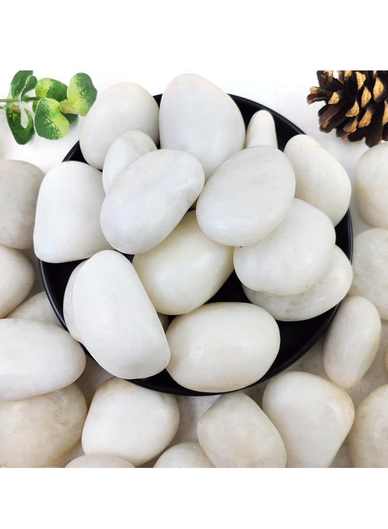 vsell24 5-8cm Extra Large White River Rocks for Landscaping, Natural Pebbles for Indoor Plants, High Polished Decorative Stones Garden DIY Vase Filler Fish Tank Aquariums  - Image 1