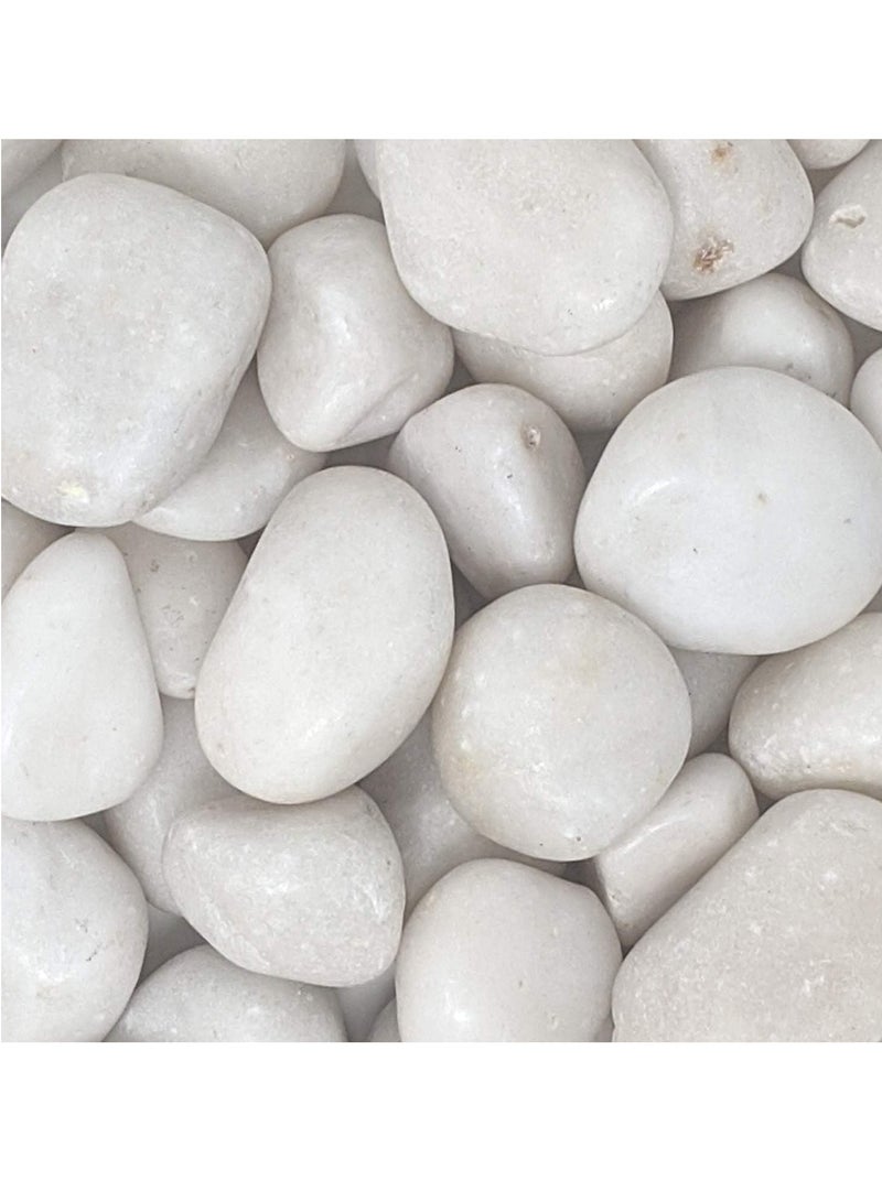 vsell24 5-8cm Extra Large White River Rocks for Landscaping, Natural Pebbles for Indoor Plants, High Polished Decorative Stones Garden DIY Vase Filler Fish Tank Aquariums  - Image 5