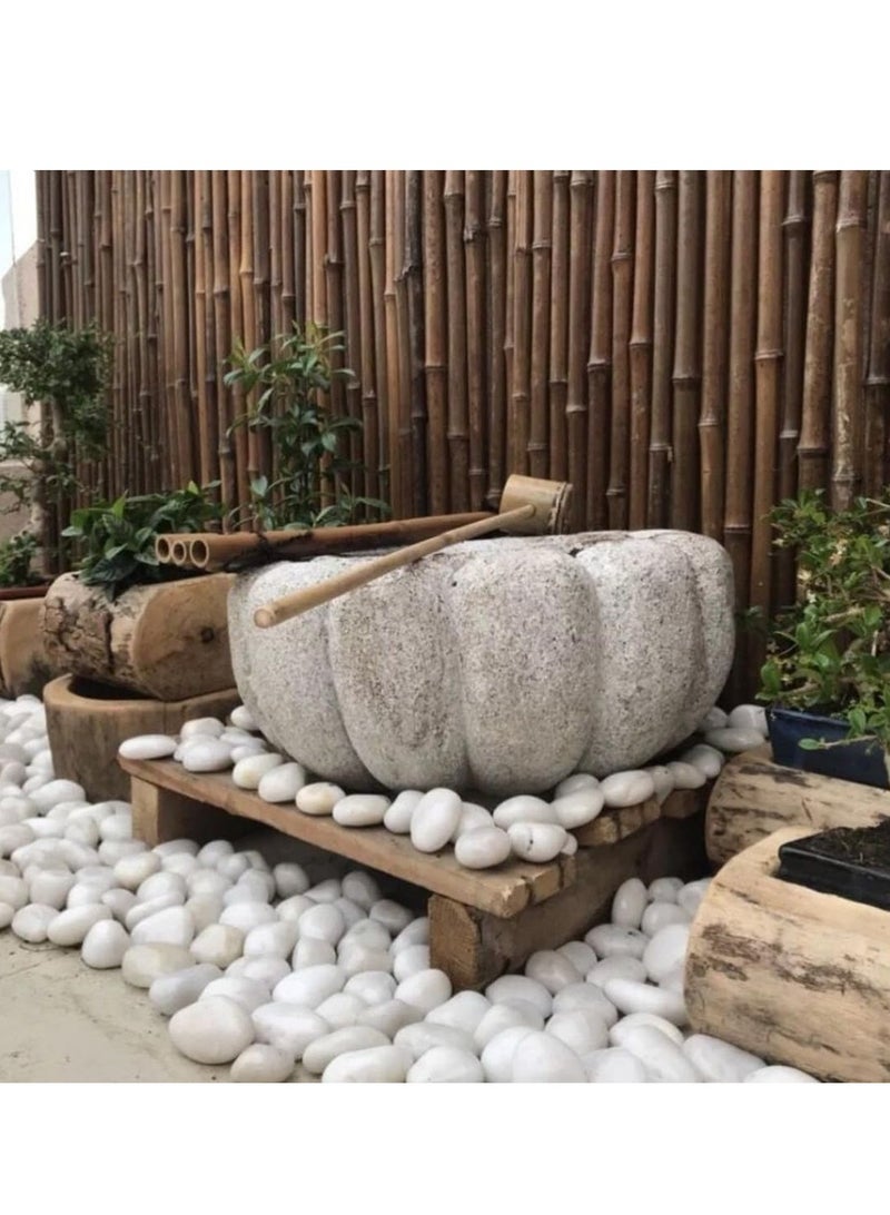 vsell24 5-8cm Extra Large White River Rocks for Landscaping, Natural Pebbles for Indoor Plants, High Polished Decorative Stones Garden DIY Vase Filler Fish Tank Aquariums  - Image 4
