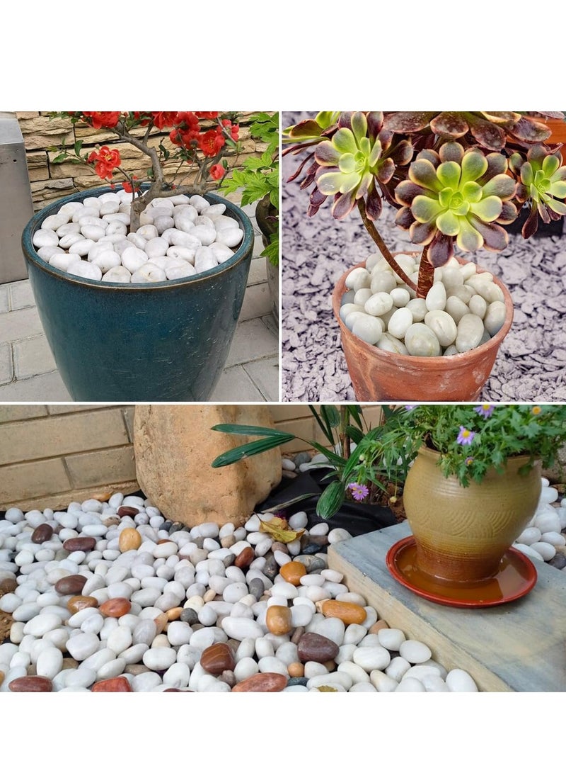 vsell24 5-8cm Extra Large White River Rocks for Landscaping, Natural Pebbles for Indoor Plants, High Polished Decorative Stones Garden DIY Vase Filler Fish Tank Aquariums  - Image 2