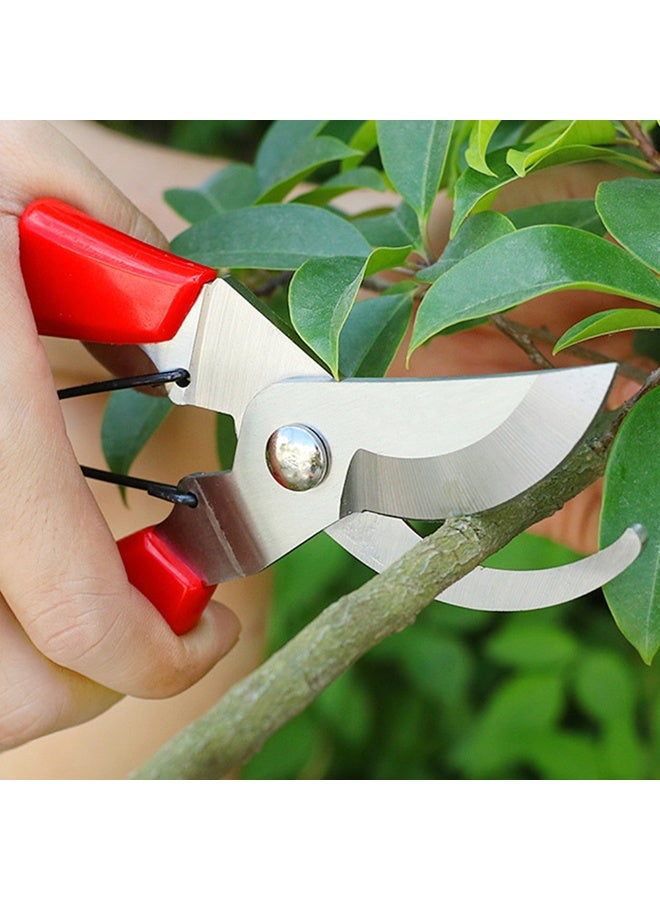 Generic Garden Branch Heavy Duty Pruner Classic Manual Hand Pruning Shears For Plant Flower Arrangement Shears For Household Flower Shop Gardening Tool Hedge Trimmers - Image 1
