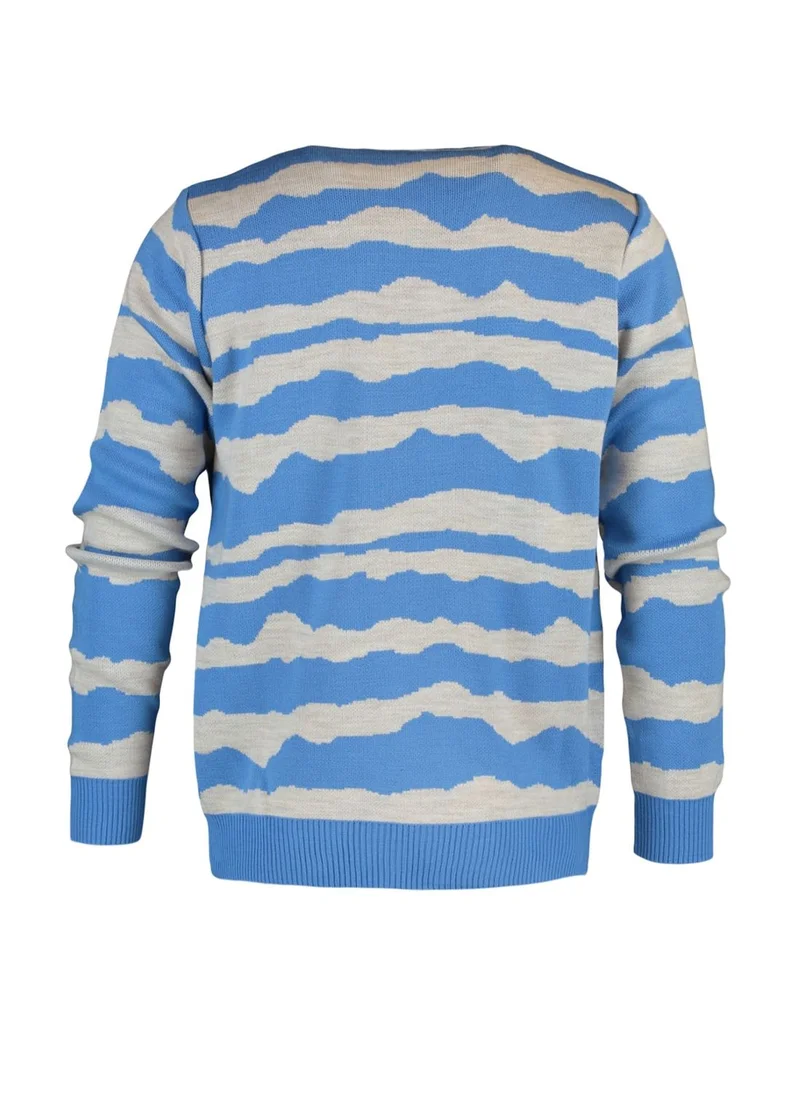 trendyol Zebra Pattern Knitted Sweater