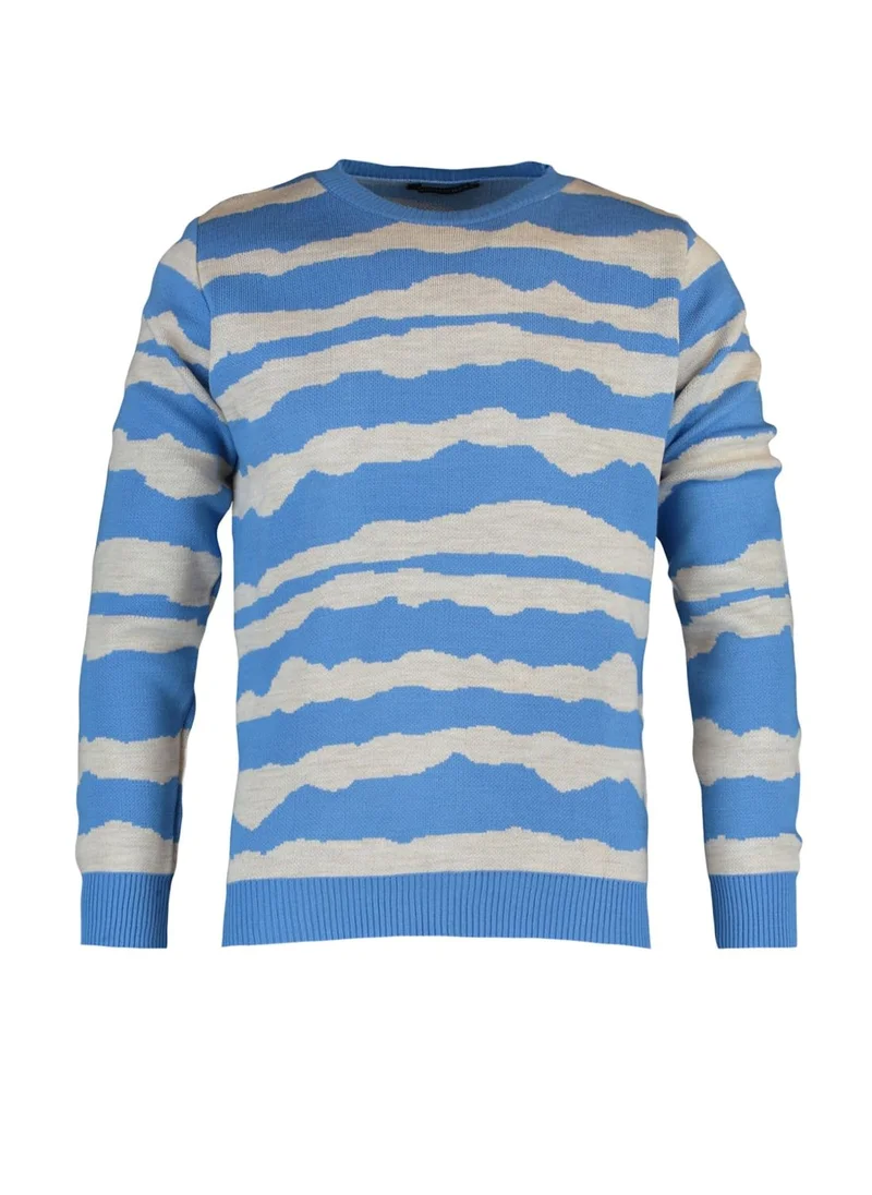 trendyol Zebra Pattern Knitted Sweater