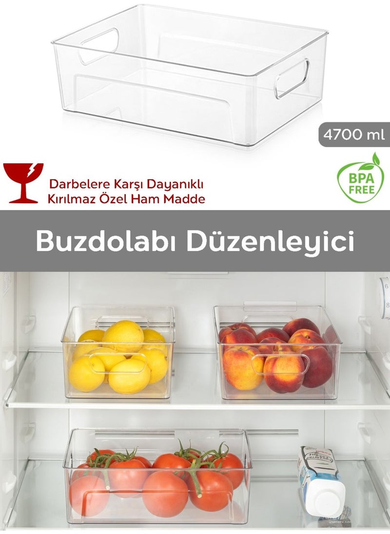 Unbreakable Ultra Durable Refrigerator Organizer Box Transparent - 26.5X18X9 Cm/4.7 L - pzsku/Z7C7A16B21B6510FC425FZ/45/_/1726654567/475754a7-5b5f-47c4-b3a2-8c6d27b001fa