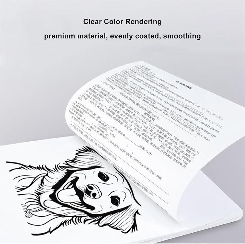 YDuupxe Thermal Paper Roll A4 Clear Printing Images Longer Lasting Compatible with Various Printers Seamless Loading Smoothing Performance for Documents Photos Labels - Image 2