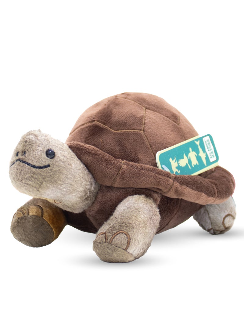 Wild Planet Giant Tortoise