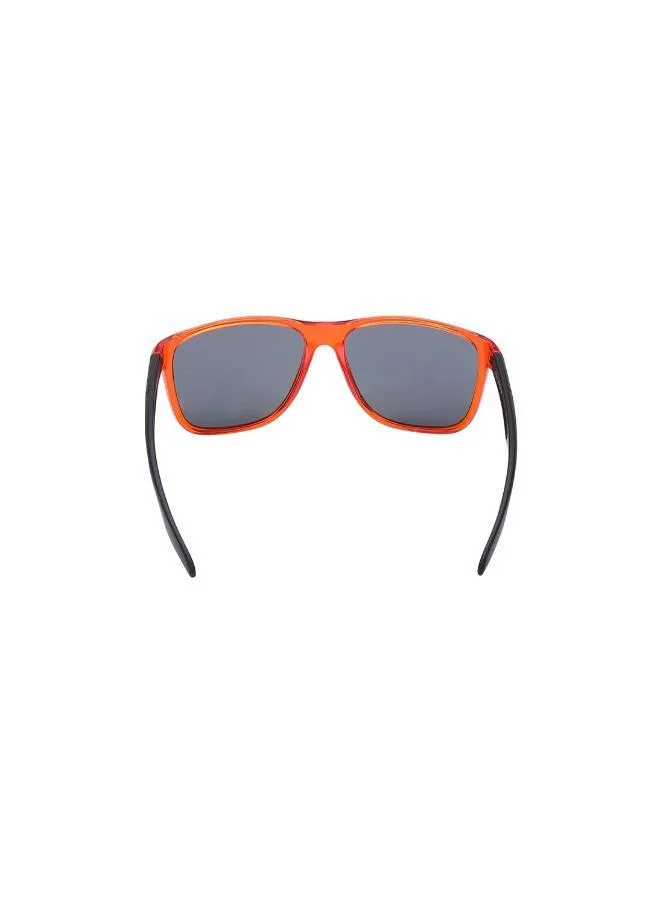 فاستراك نظارات فاست تراك