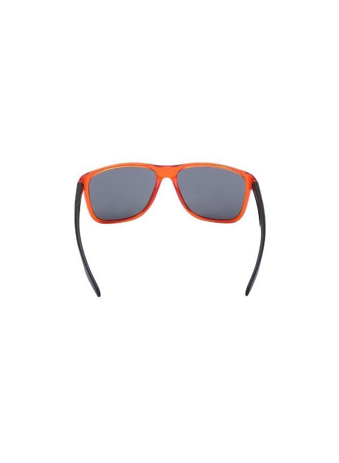 فاستراك نظارات فاست تراك - Image 1