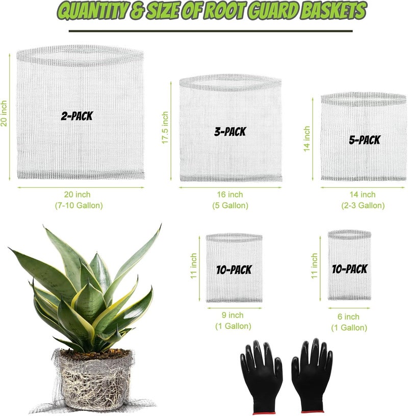 Froidesente 30 Packs Root Stainless Steel Guard Baskets with Gloves for Protects Plant Roots from Gophers Moles Voles Damage, Reusable 304 Wire Mesh Basket Protect Roots Tubers Trees Flowers Crop s （Muliti Size） - Image 2
