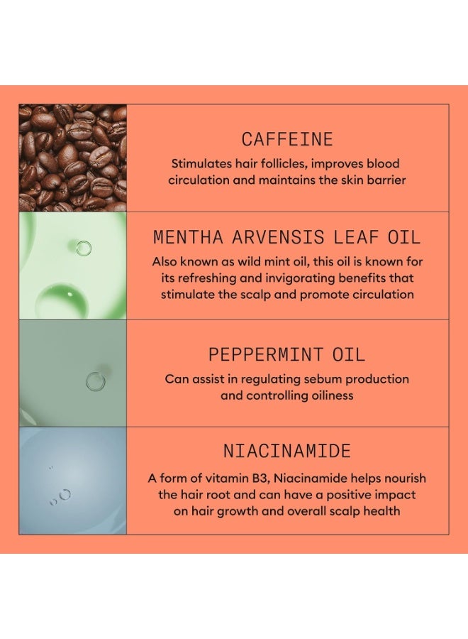 Nioxin System 4,For Thicker, Fuller Hair, Hair thickening treatment For Colored, Damaged Hair with Progressed Thinning, Loyalty Kit large size, Hydrating Shampoo, Conditioner, Hair-thickening serum - Image 3