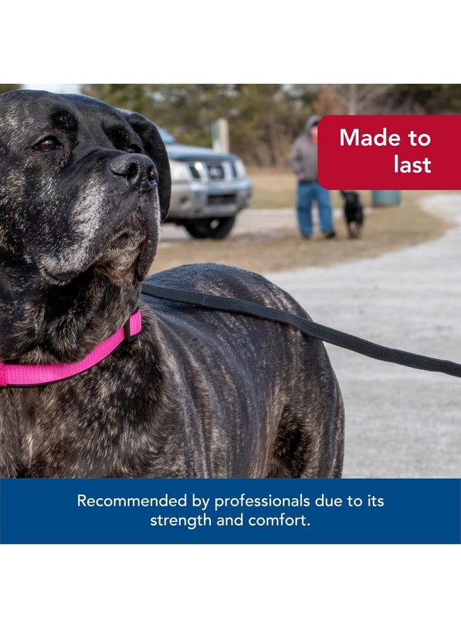 كوستال مقود تدريب الكلاب من Coastal Pet Train Right مصنوع من القطن بنسبة 100% للتدريب - لوازم متينة - أخضر، 5/8 بوصة × 10 أقدام - Image 4