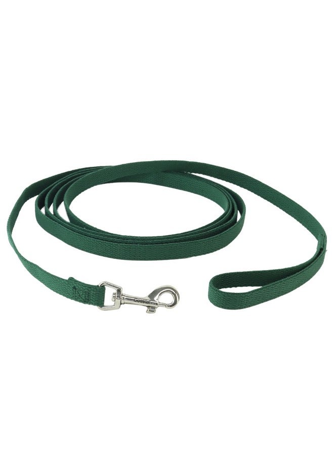 كوستال مقود تدريب الكلاب من Coastal Pet Train Right مصنوع من القطن بنسبة 100% للتدريب - لوازم متينة - أخضر، 5/8 بوصة × 10 أقدام - Image 1