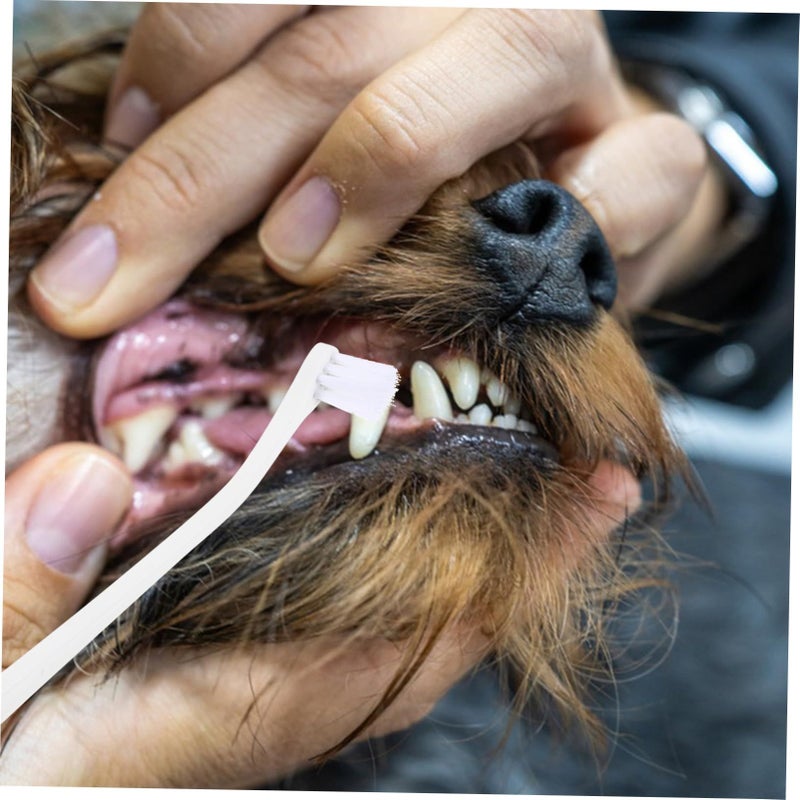 Soft Bristle Dog Toothbrush Portable Oral Cleaning Tool Reduces Plaque Prevents Tooth Decay - Image 5