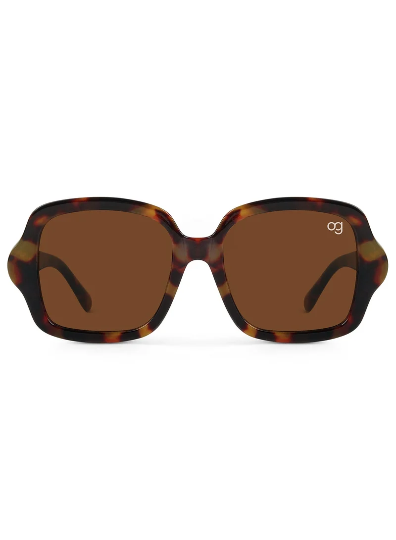 Woggles  Designer Brown Square Sunglasses| Men & Women| 100% Uv Protection  | Best Price UAE
