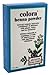 Colora Henna Powder Hair Color Ash Brown 2 Ounce (59ml) (2 Pack) - Image 2