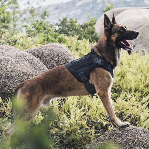 WapaW Dog Harness No-Pull Pet Harness Adjustable Outdoor Pet Vest 3M Reflective Oxford Material Vest for Dogs Easy Control for Small Medium Large Dogs (Tactical Black, XL (Harness + Leash)) - Image 4