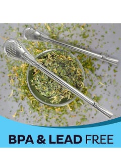 NIBEMINENT Yerba Mate Tea Cup And Bombilla Straw Set 12oz double-wall Stainless Coffee Water Natural Gourd Kit For Loose Leaf Drinking Easy to Clean  - Image 2