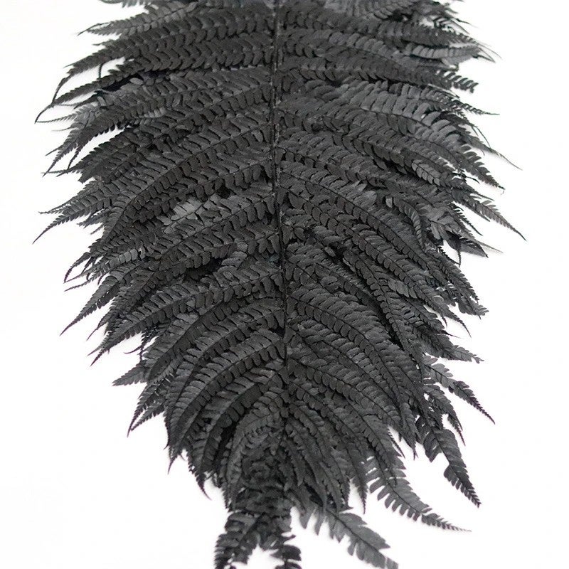 Bluejw Nordic Style Dried Fern Leaf Decoration – Preserved Real Fern for Valentine's Day, Wedding, and Home Decor - Image 1
