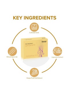 RAAGA PROFESSIONAL Stem Cells Infused Gold 6 Step Facial Kit | Gold Colloid, Red Flesh Grape Stem Cells | Combats Pigmentation | All Skin Types (61 Gm)  - Image 3