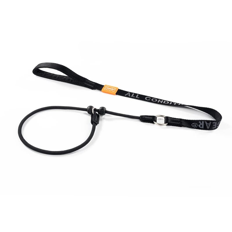 HowGo Slip Lead Dog Leash with Padded Handles | Lightweight Dog Training Leash with 360Â°Swivel Anti-Tangle | Heavy-Duty Lead and Collar for Large Medium and Small, No-Pull Walking (Black, 3.6FT) - Image 1