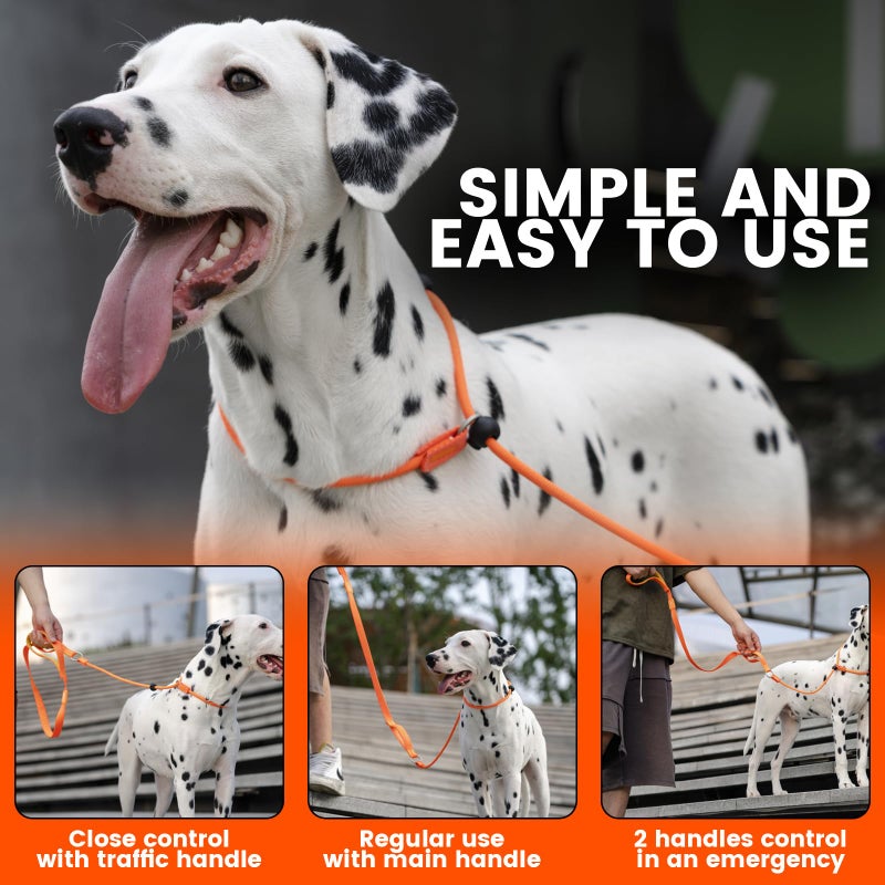 HowGo Slip Lead Dog Leash with Padded Handles | Lightweight Dog Training Leash with 360Â°Swivel Anti-Tangle | Heavy-Duty Lead and Collar for Large Medium and Small, No-Pull Walking (Black, 3.6FT) - Image 2