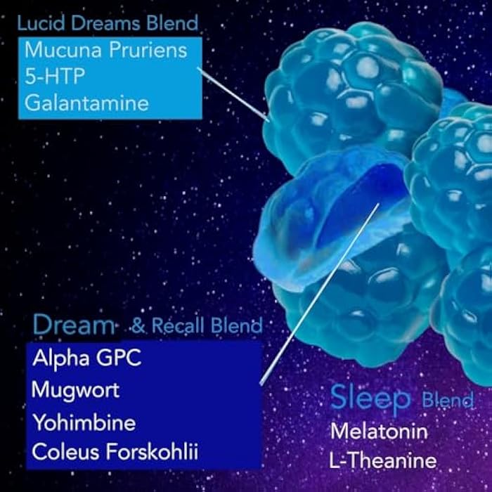 Holistic MD Lucid Dreams Deep Sleep - Mugwort Herb 5 htp Mucuna Pruriens Choline Supplements - Gummies Sugar Free Vegan 60 ct - Image 3